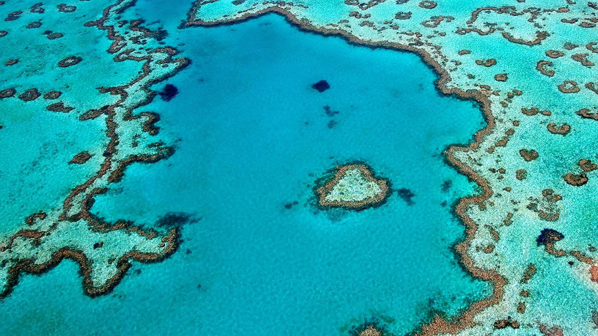 Gran Barrera de Coral, el mayor ecosistema vivo del mundo