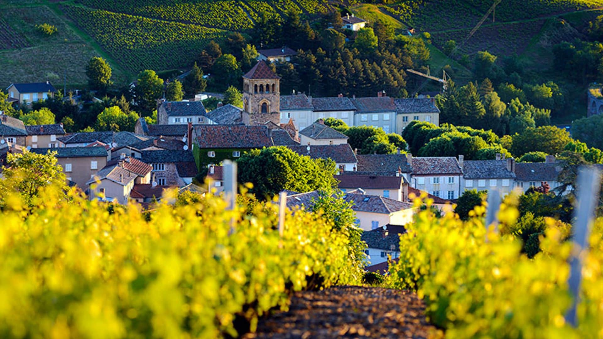 De enero a diciembre: cada mes una escapada increíble a Francia