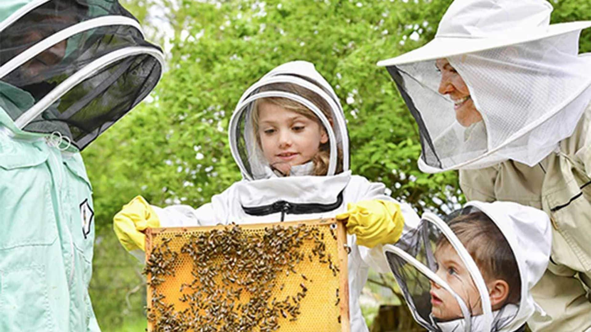 abejas medio ambiente