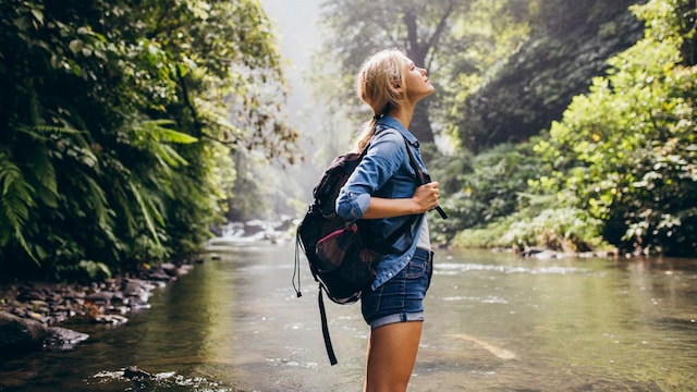 turista eco