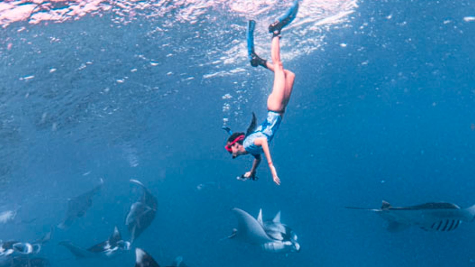 Las espectaculares imágenes de Victoria de Marichalar nadando entre centenares de mantarrayas en Maldivas