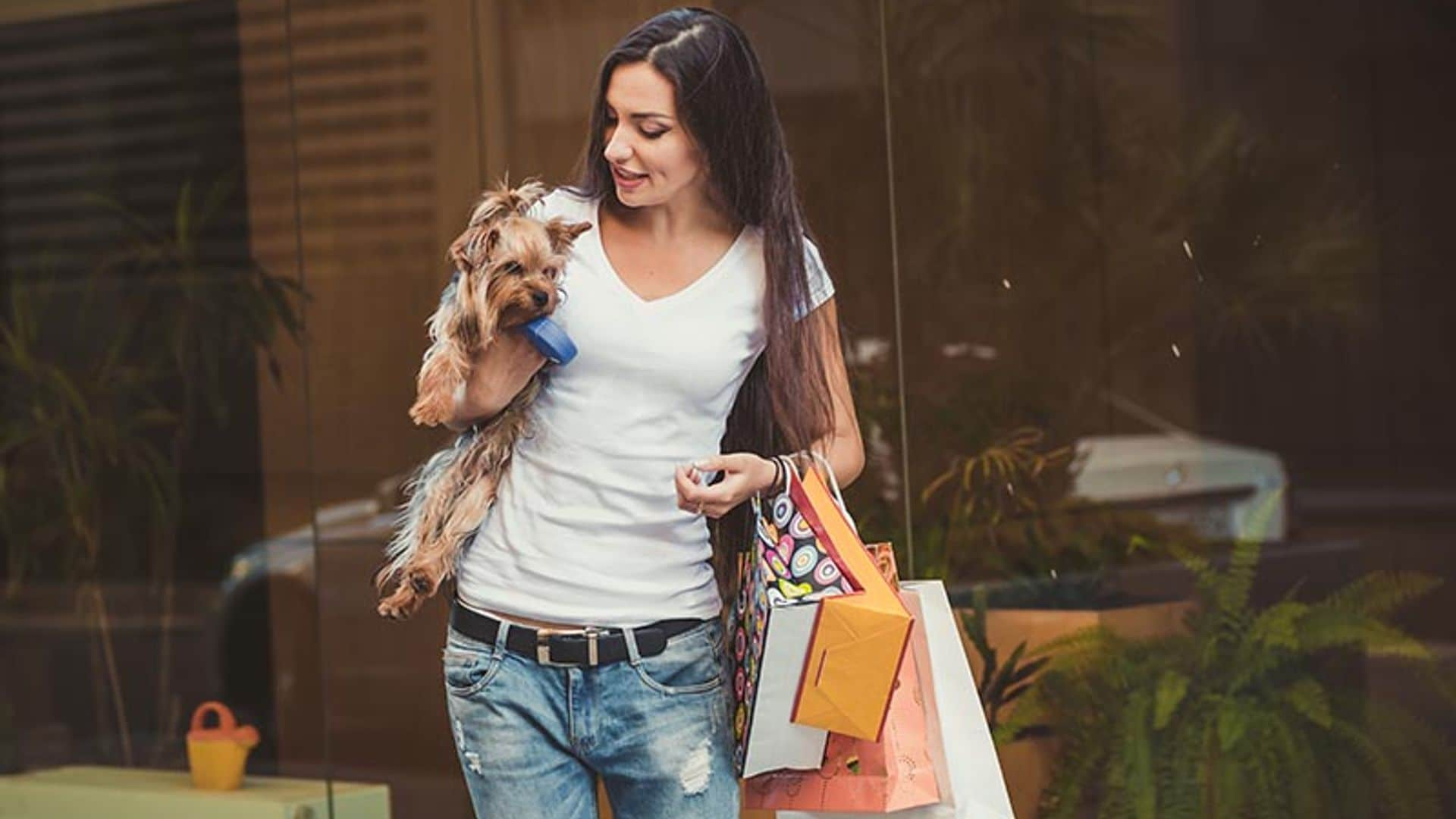 A dónde puedo entrar con mi perro según la ley