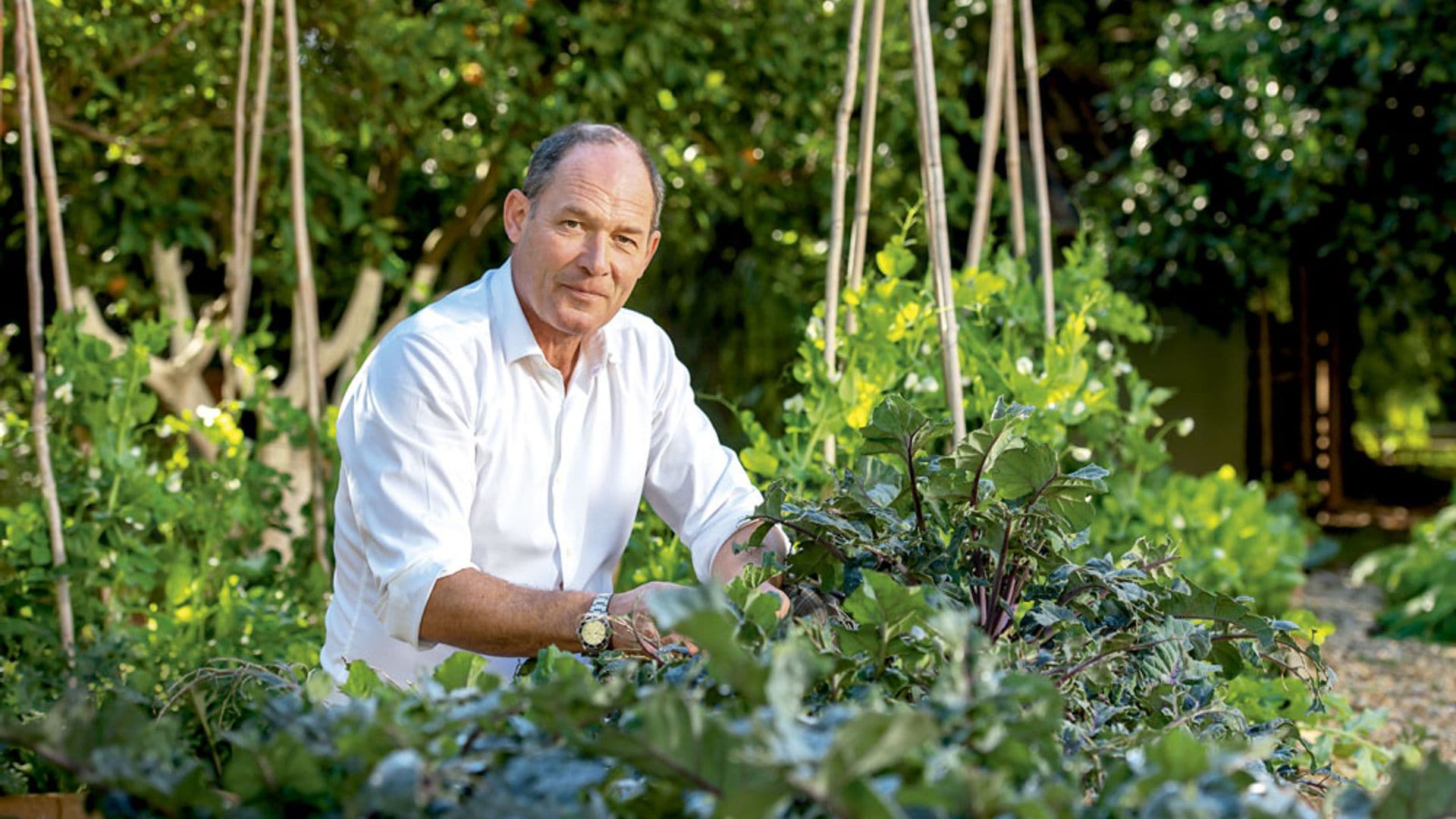 El arte de decorar con flores: los 3 trucos infalibles del jardinero de Ladi Di