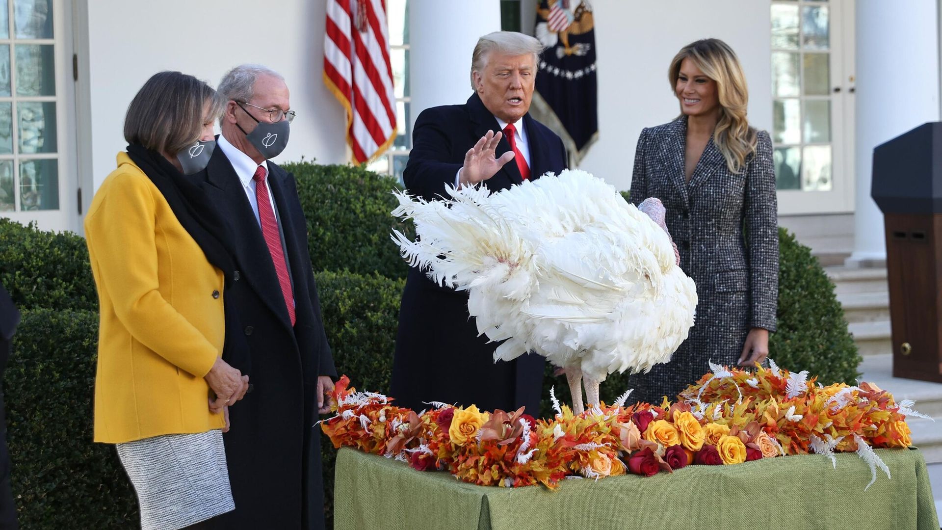 Así fue el último indulto de Donald Trump a los pavos ‘Corn’ y ‘Cob’ previo a Thanksgiving