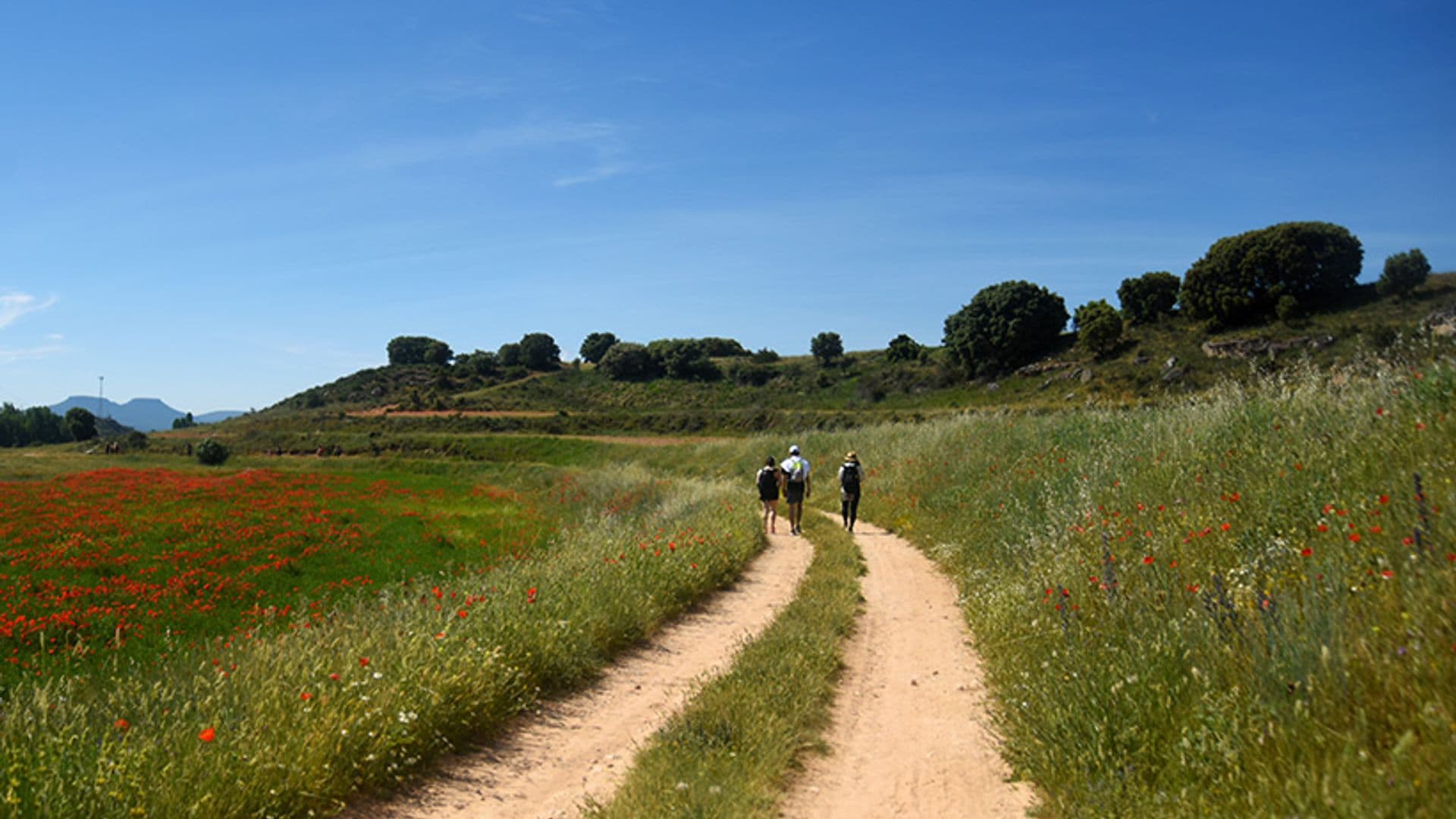 Viaje a La Alcarria, en versión siglo XXI