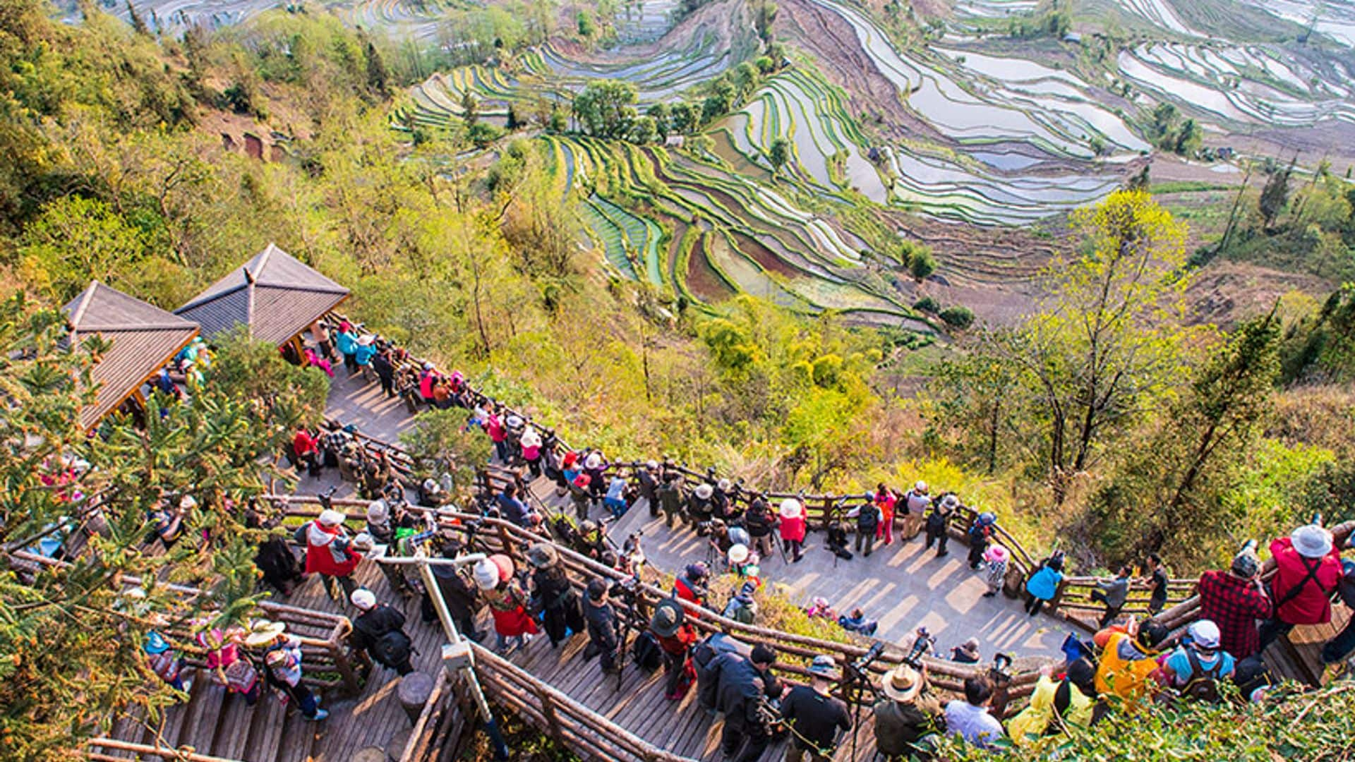 El paisaje de arrozales de China que parece un cuadro