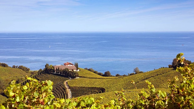 bodega txakoli getaria