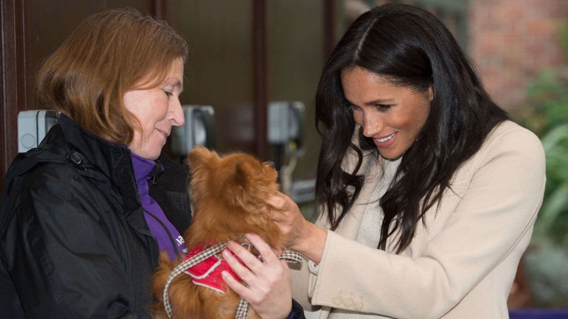 Meghan Markle volvió a saltarse el protocolo y mostró su amor por los perros