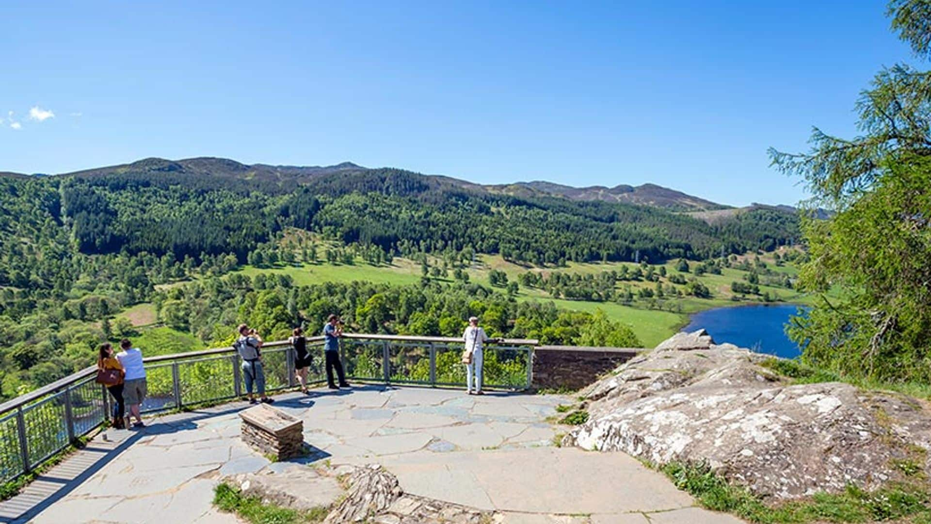 Puedes convertirte en Lady o Lord y proteger los bosques de Escocia ¿quieres saber cómo?