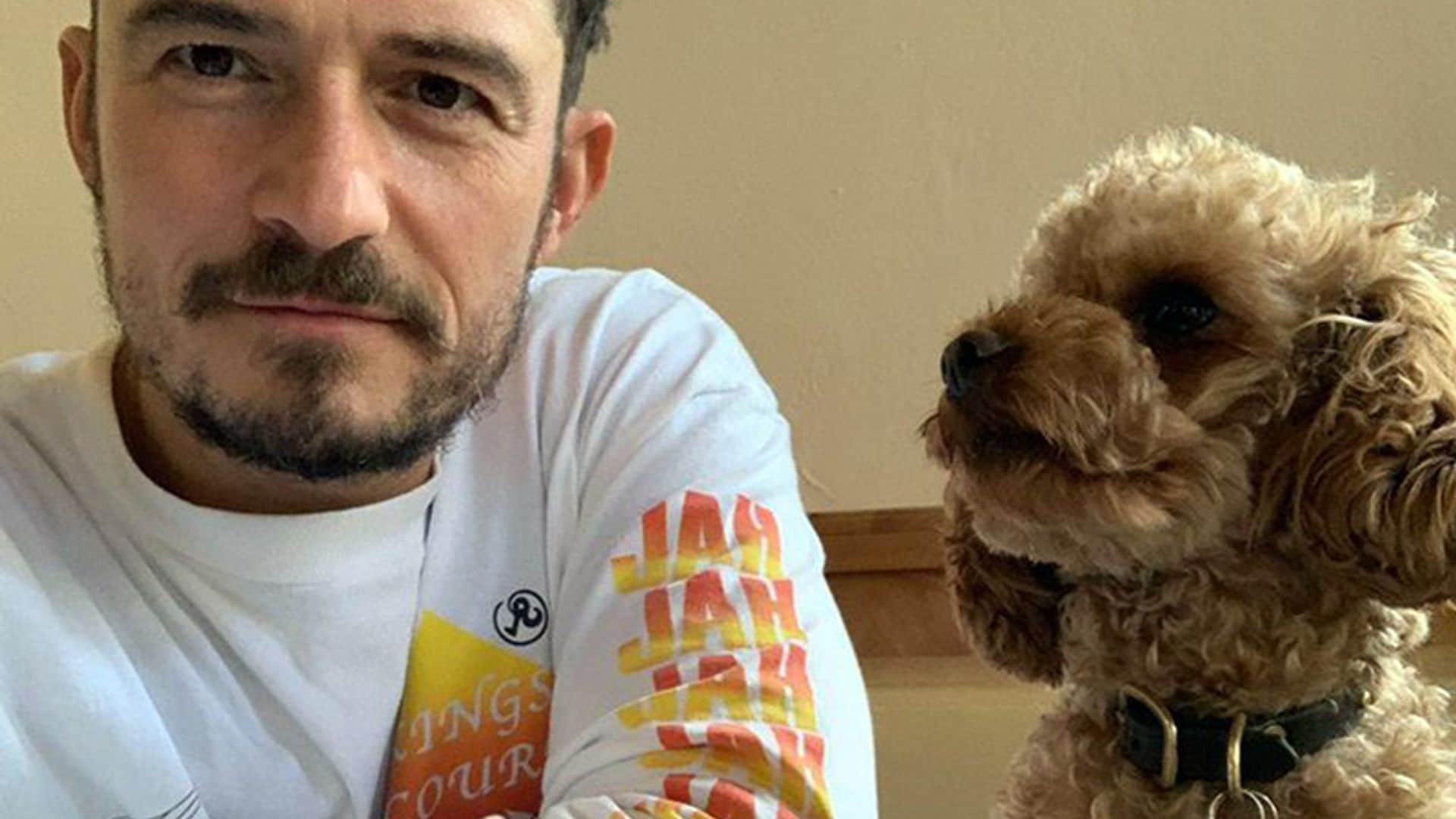 Orlando Bloom homenajea a su perro fallecido tatuándose su nombre