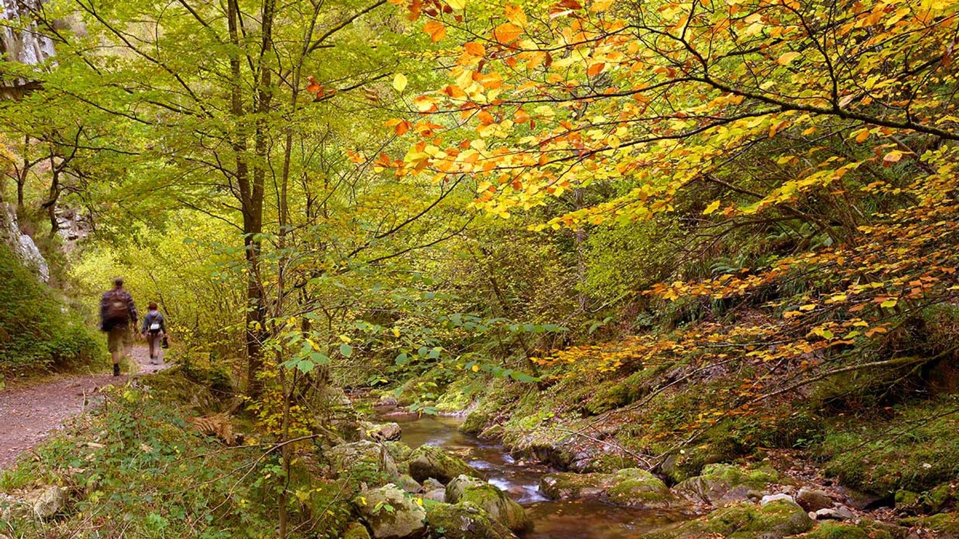 Ruta del Alba, la senda asturiana más bella para caminar por la naturaleza