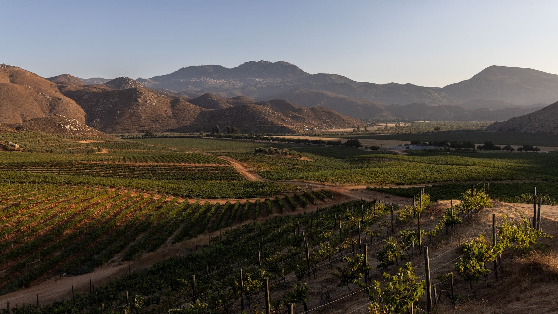 Conoce Valle de Guadalupe, el rincón de México donde florece el mejor vino