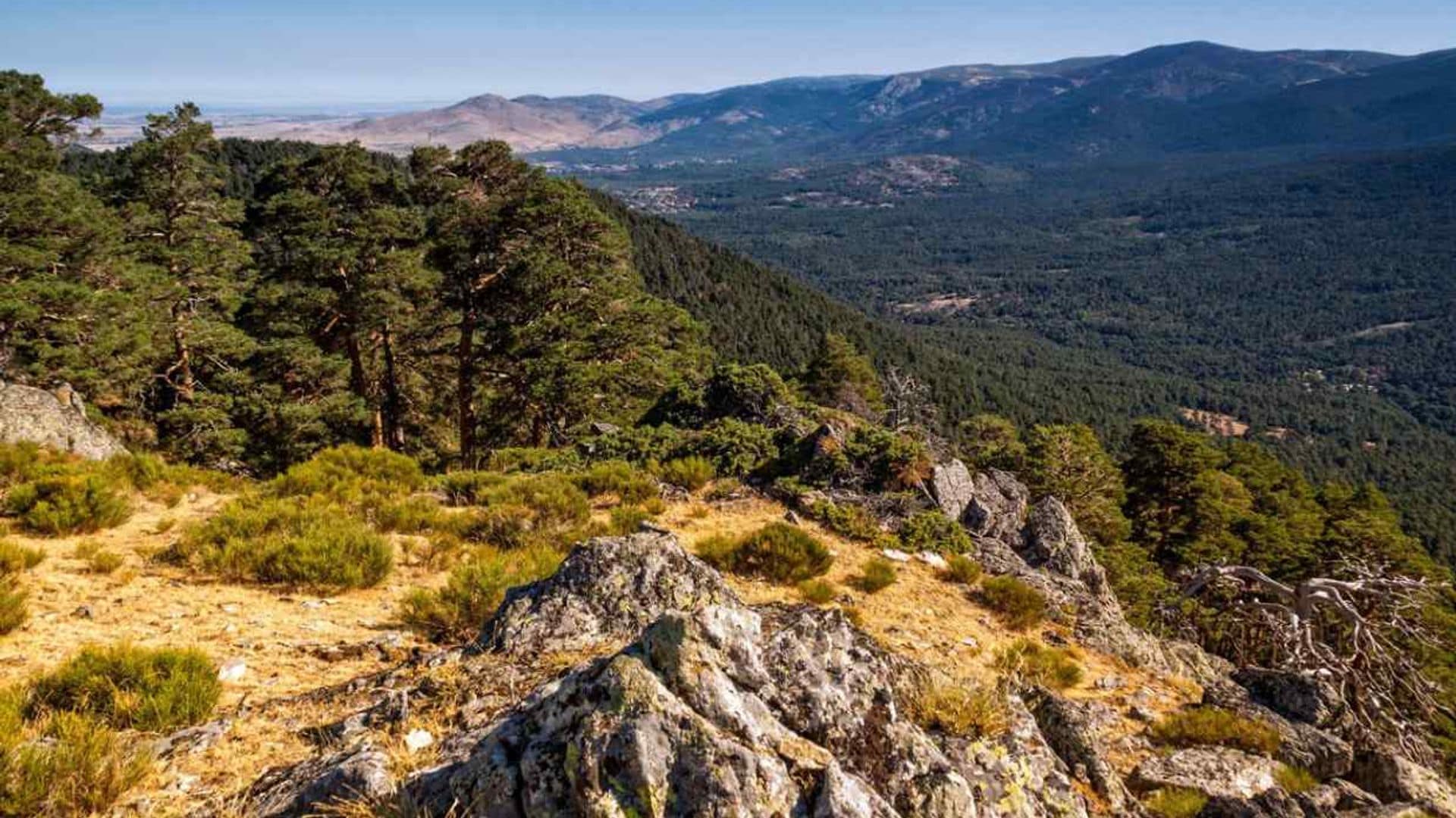 panoramica del parque nacional de la sierra de guadarrama en madrid