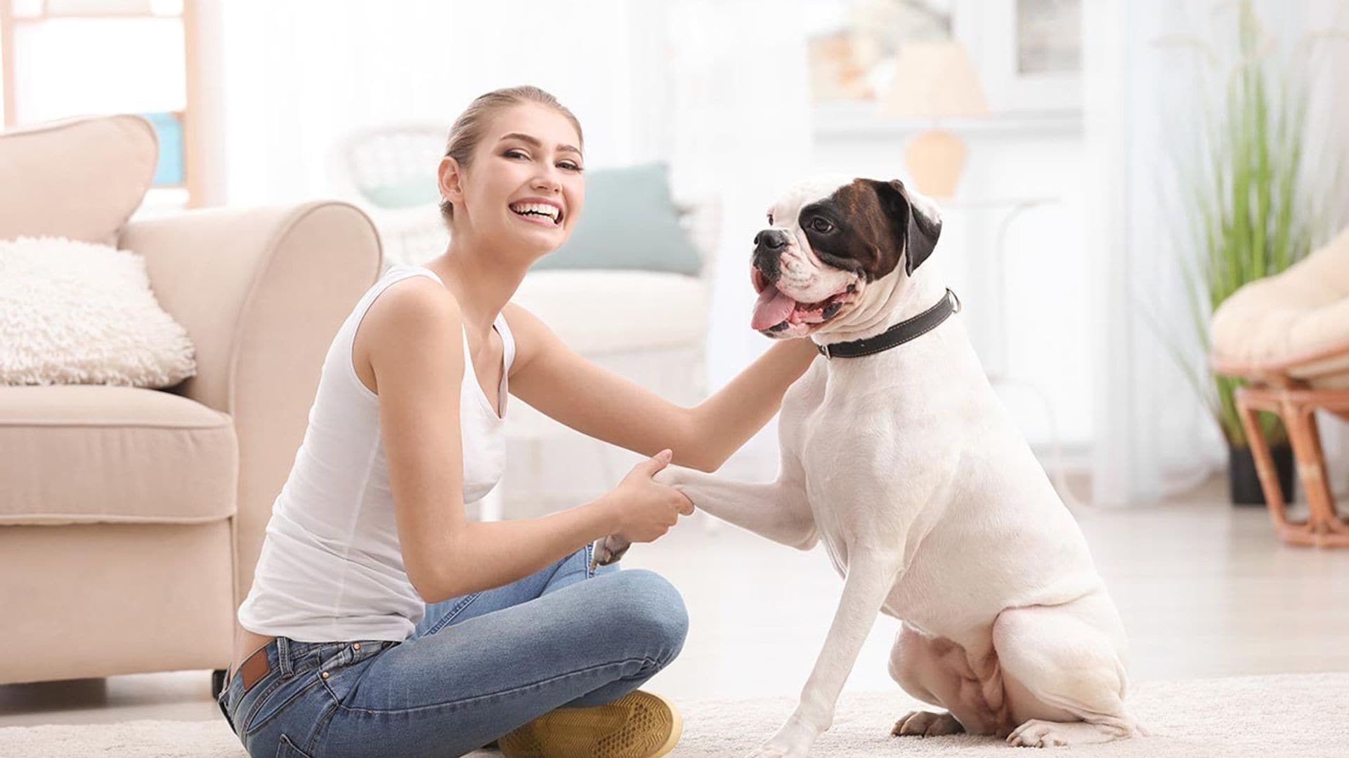 Las razas de perro más buscadas y deseadas