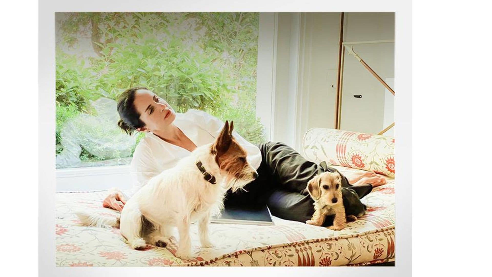 carolina herrera with her dogs 