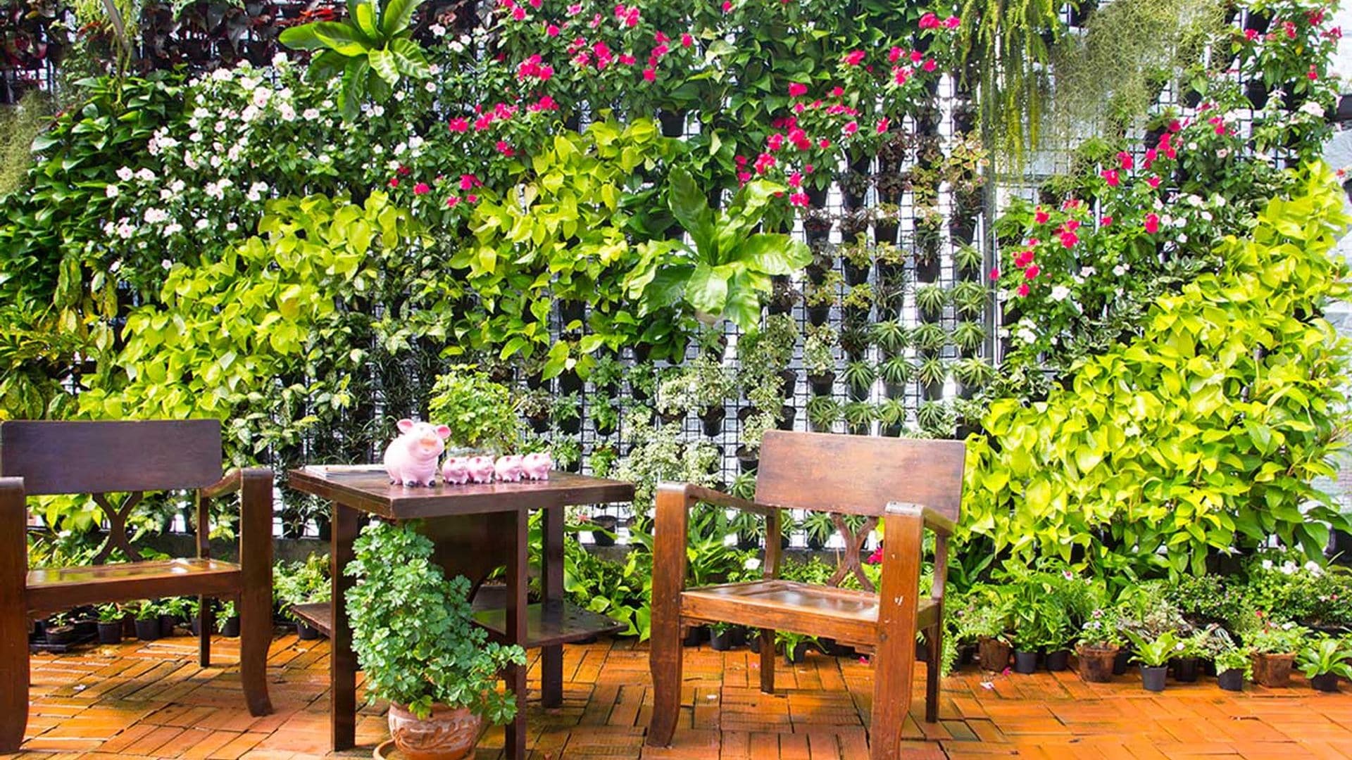 Las mejores ideas DIY para crear un jardín vertical en la terraza