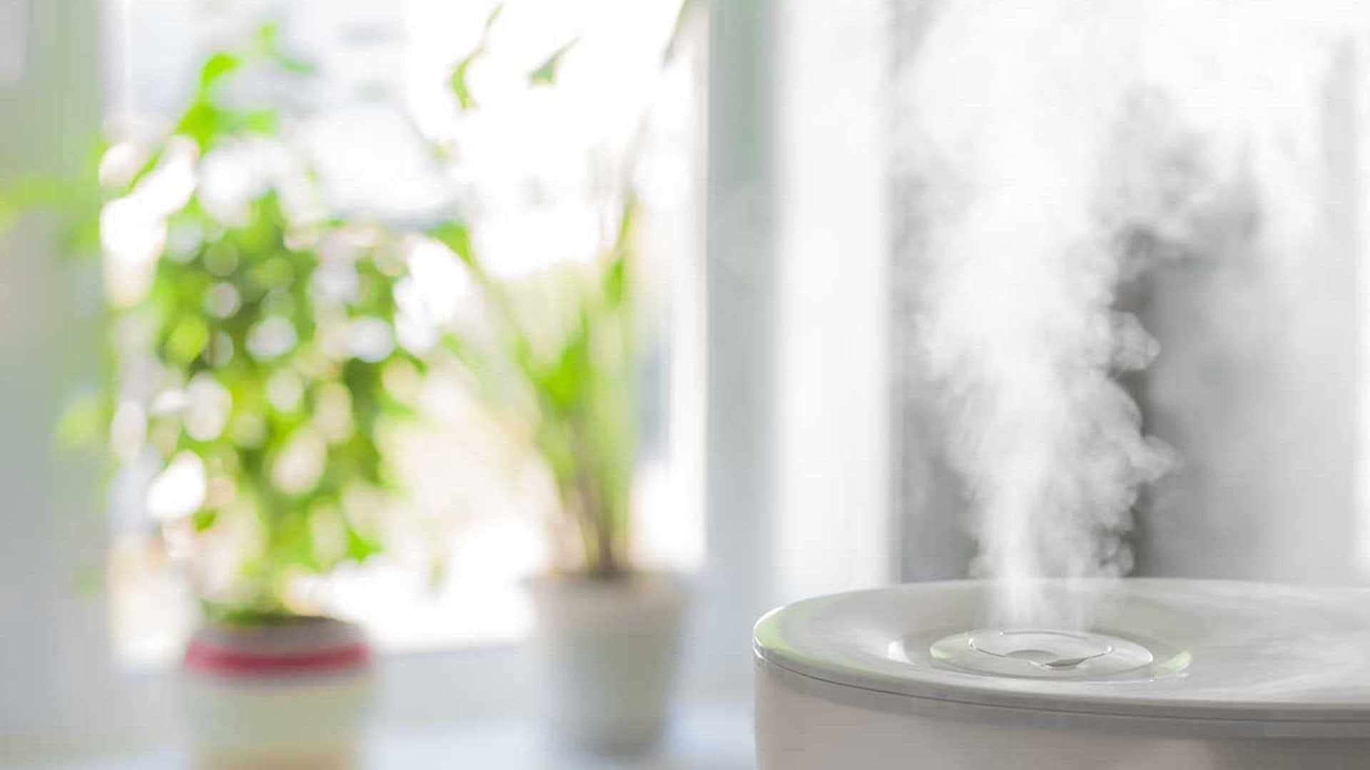 Ideas para hacer humidificadores en casa y combatir la sequedad