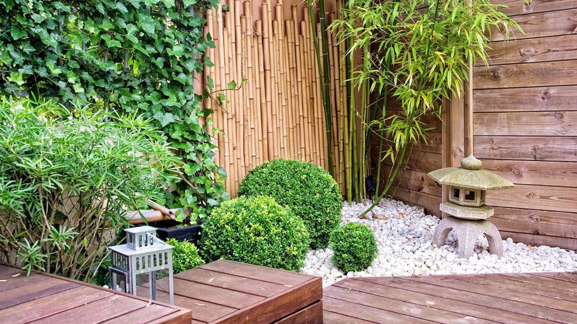 ¿Te gustaría crear un jardín japonés armónico y con mucho encanto?