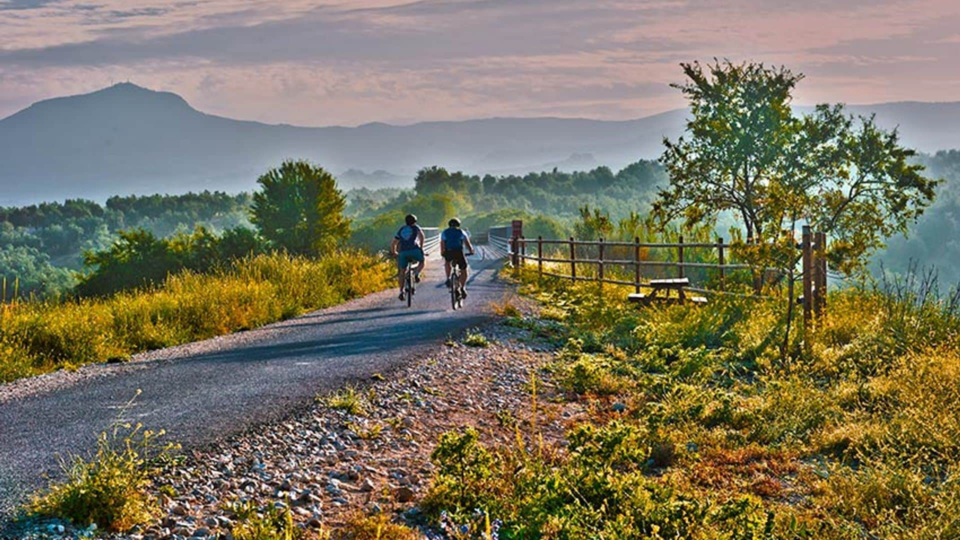 Pedaleando por un mar de olivos en Córdoba