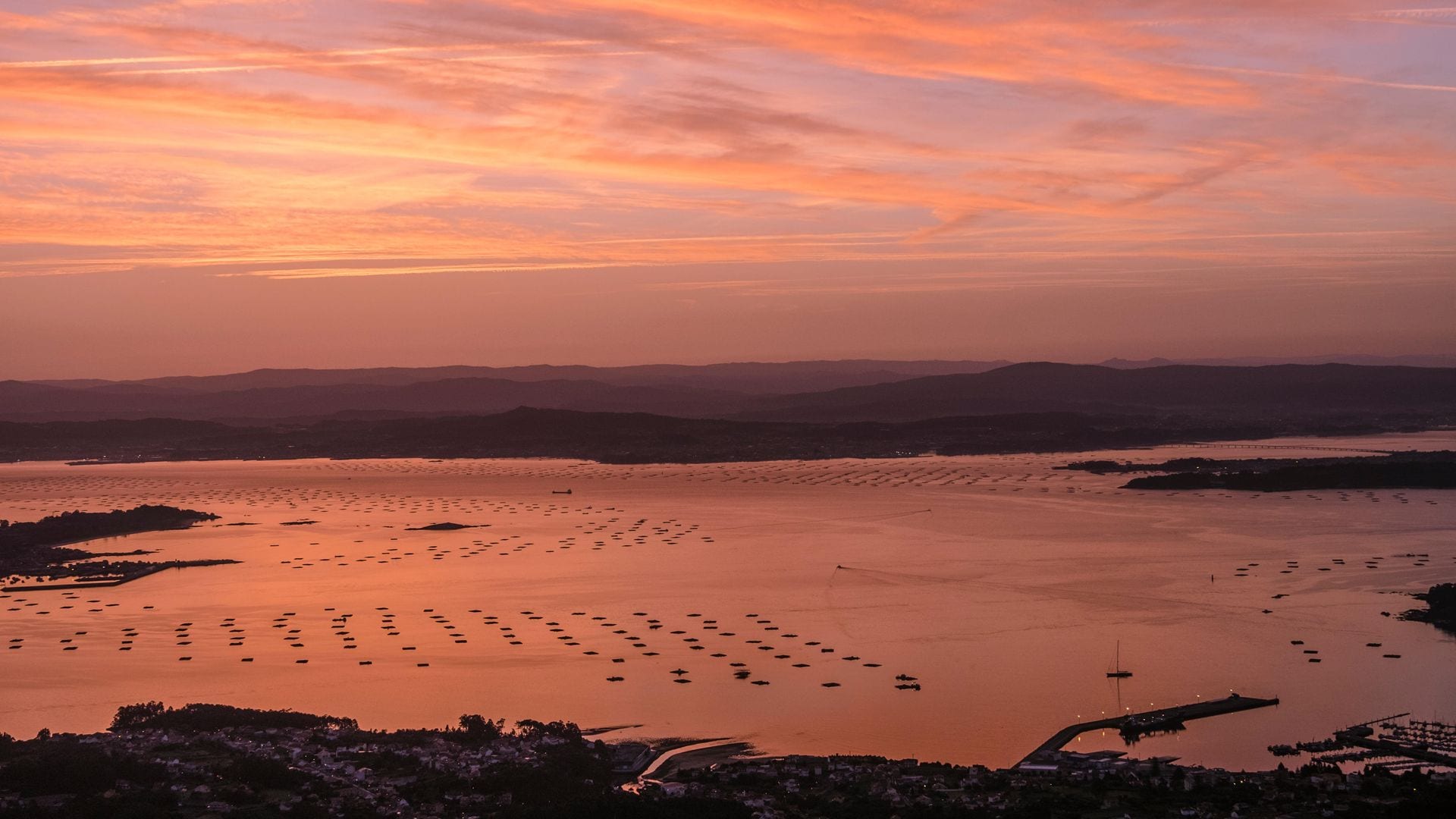 Ría de Muros y Noia, ría de Arousa, ría de Pontevedra y ría de Vigo.