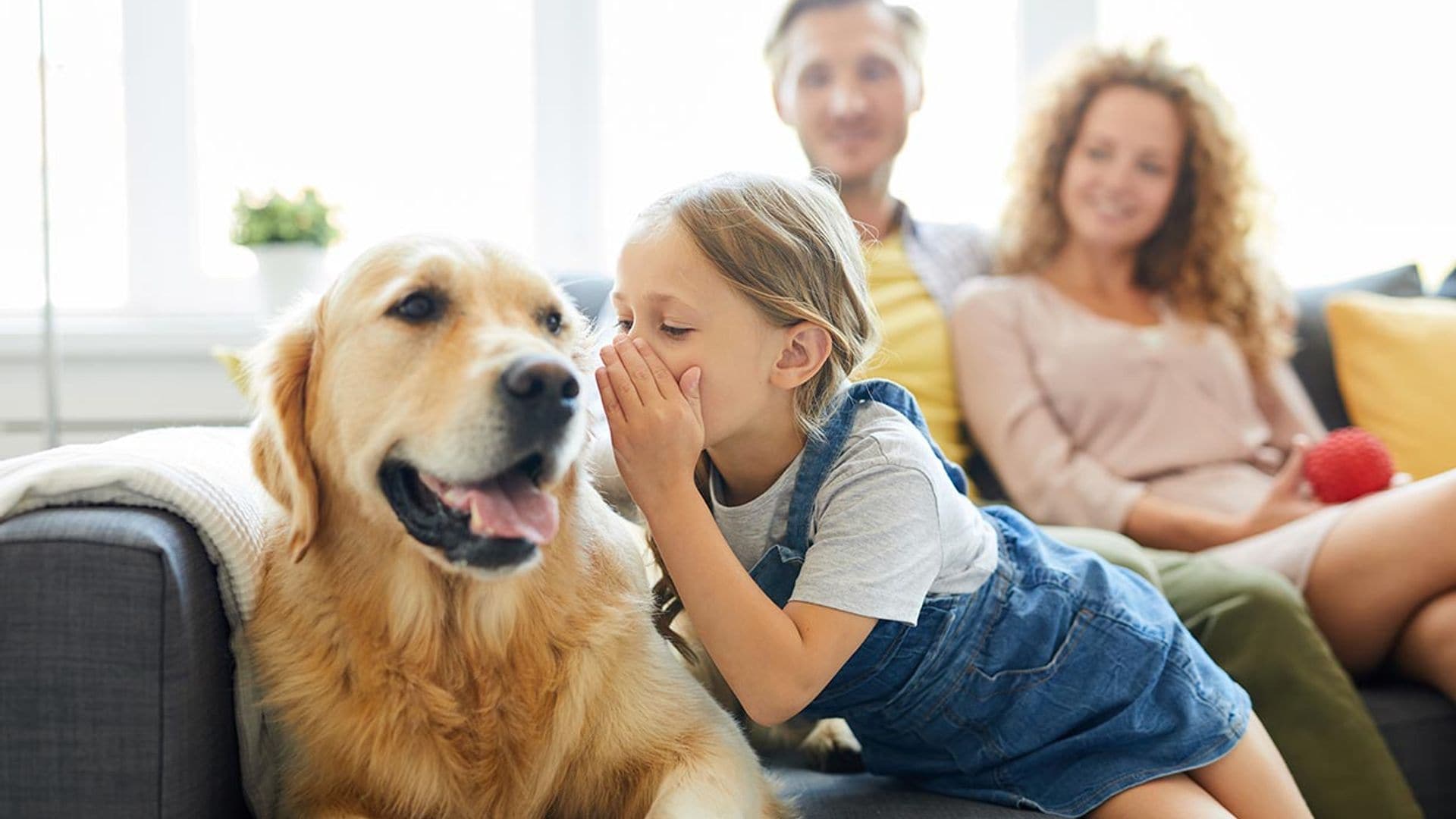 Los perros tienen un sexto sentido para identificar si les estás mintiendo