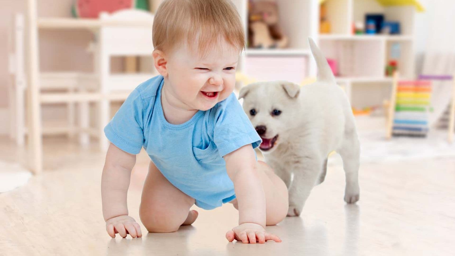 Estas 15 razas de perro son perfectas si tienes niños en casa