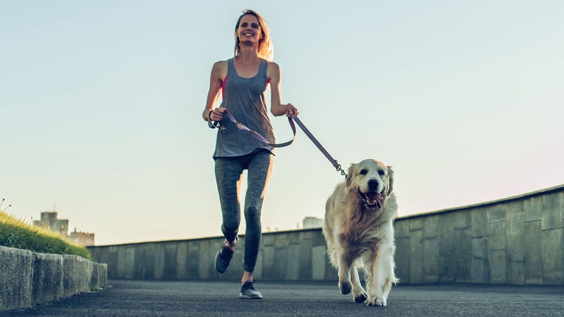 Cuánto ejercicio puedo hacer con mi perro en el desconfinamiento