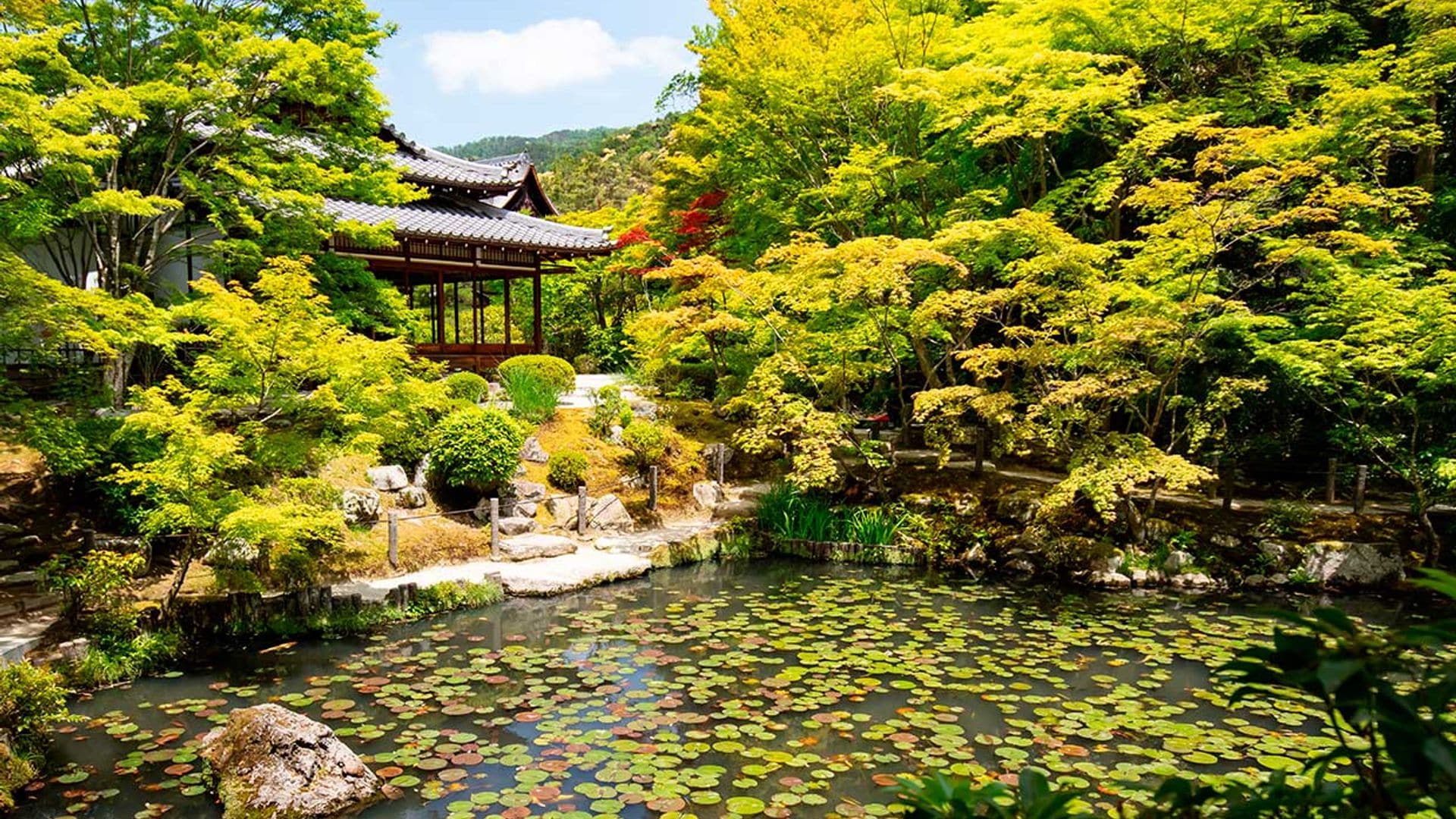 Un paseo relajado por los jardines de Kioto, el corazón verde de Japón