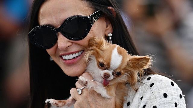 demi moore perrito getty