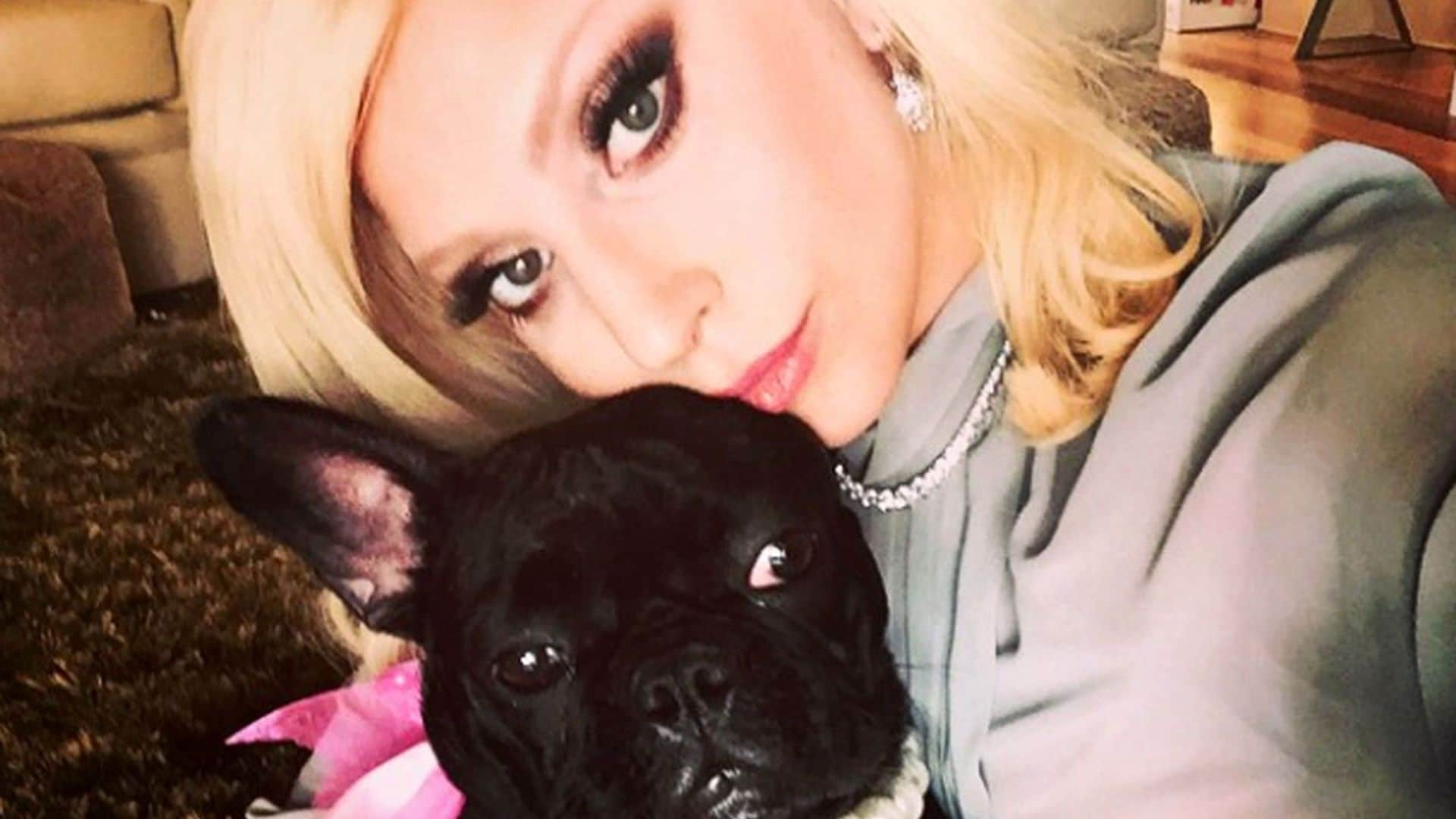 Lady Gaga recupera ilesos a sus dos perros robados tras un violento asalto