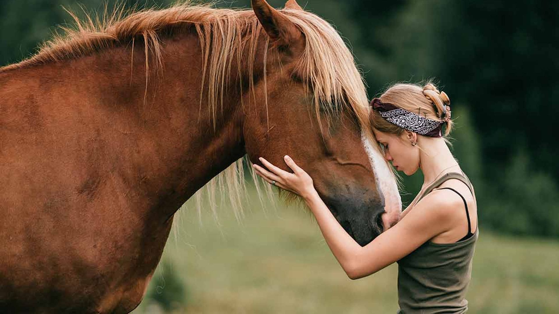 Animales que (casi) nunca duermen: hasta 84 horas sin pegar ojo