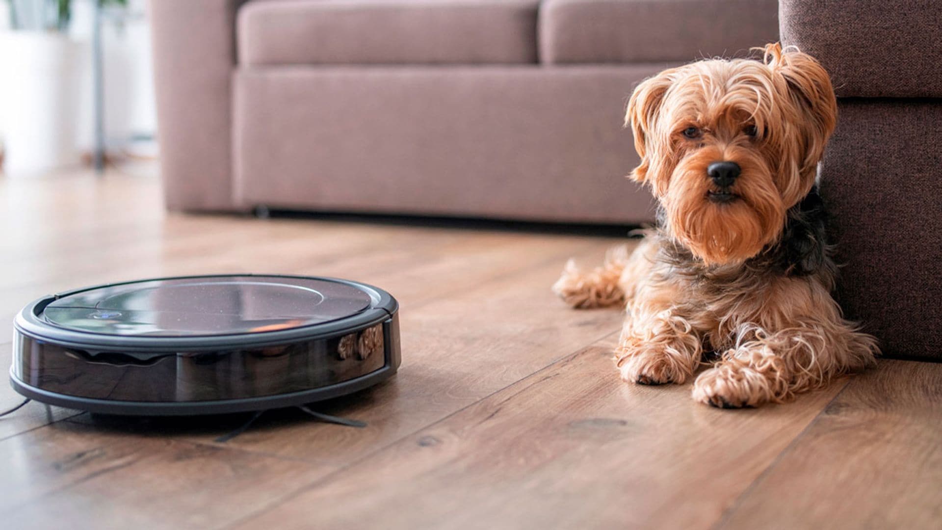 Roomba para perros sale