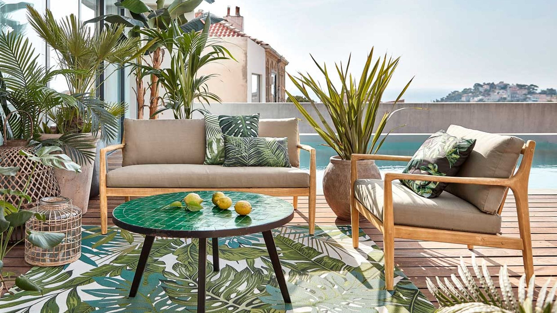 Cómo y dónde colocar las plantas en la terraza y que queden decorativas