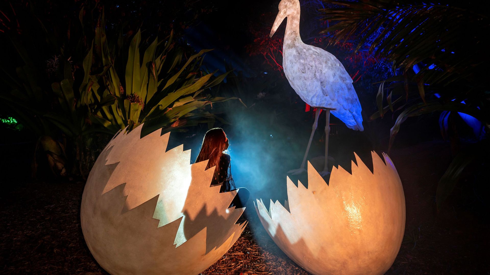 Naturaleza Encendida, cascarón de luces con chica y ave