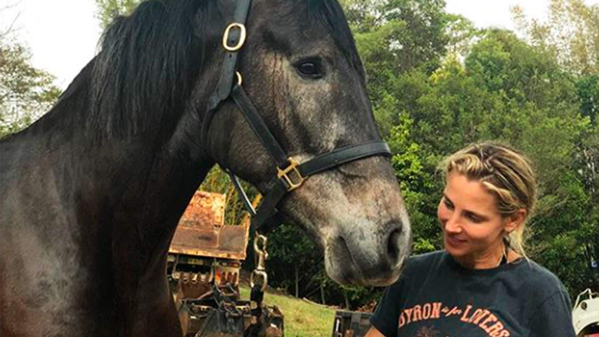 ¡Corre, Elsa, corre! Chris Hemsworth 'demuestra' que su mujer es más rápida que un caballo