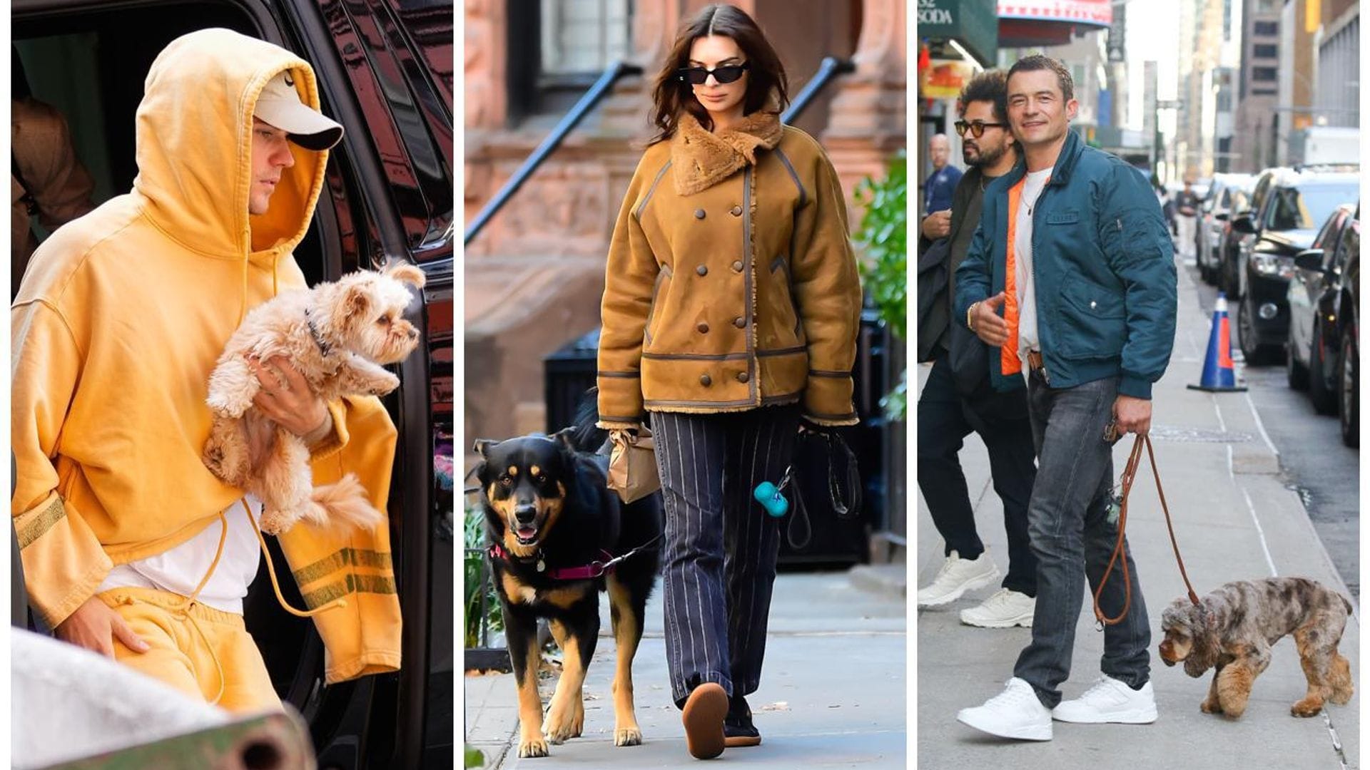 De Orlando Bloom a Salma Hayek, estas son las mascotas inseparables de los famosos