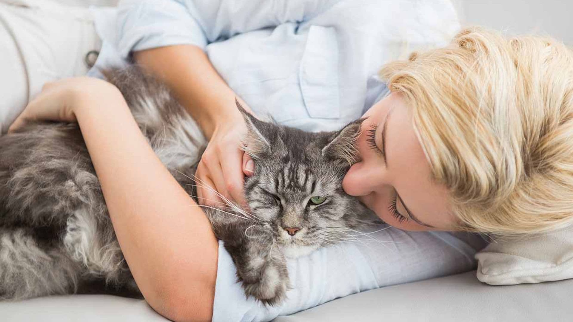 ¡Ojo! con los arañazos de gato