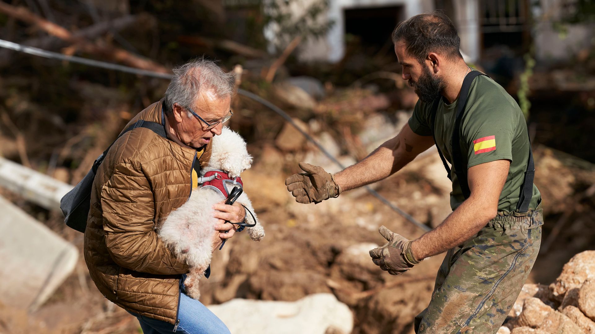 La sobrecogedora imagen de unos perros en un refugio de Valencia anegado de agua