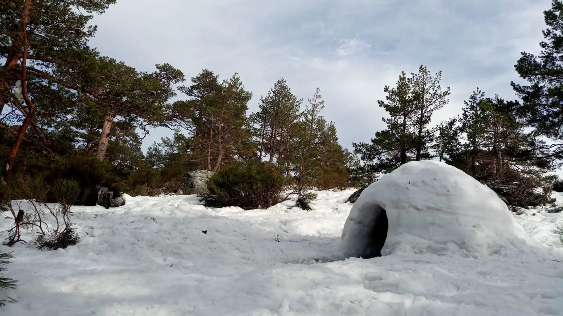 Construir un iglú en familia en el Puerto de Navacerrada con Tachán Experiencias