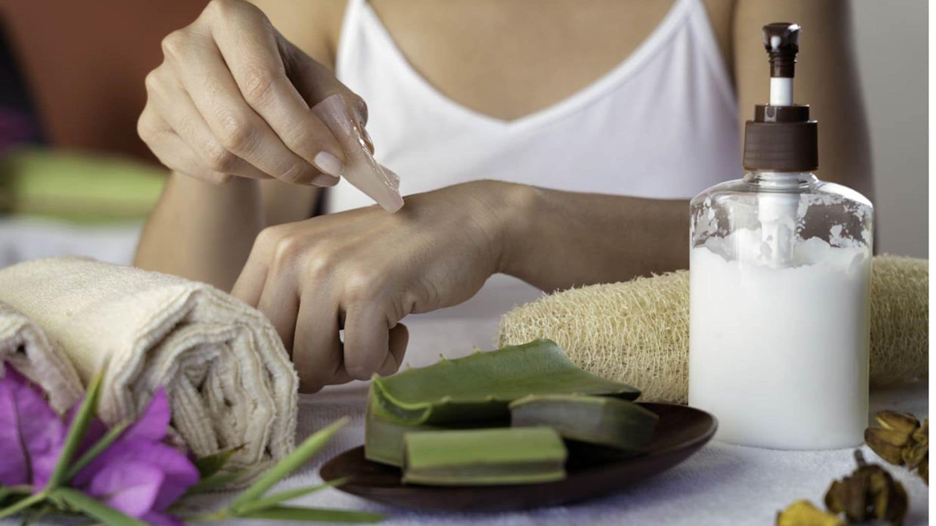 Las propiedades que harán del aloe vera tu planta medicinal preferida