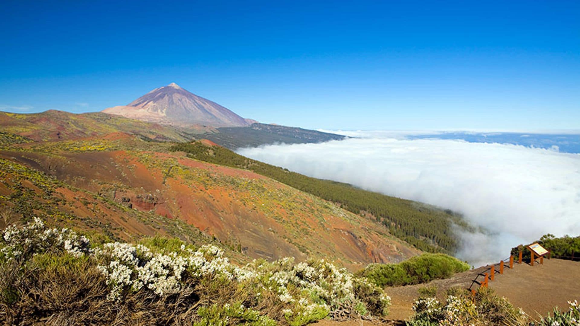 Subir al Teide, la experiencia que no puedes perderte en Tenerife