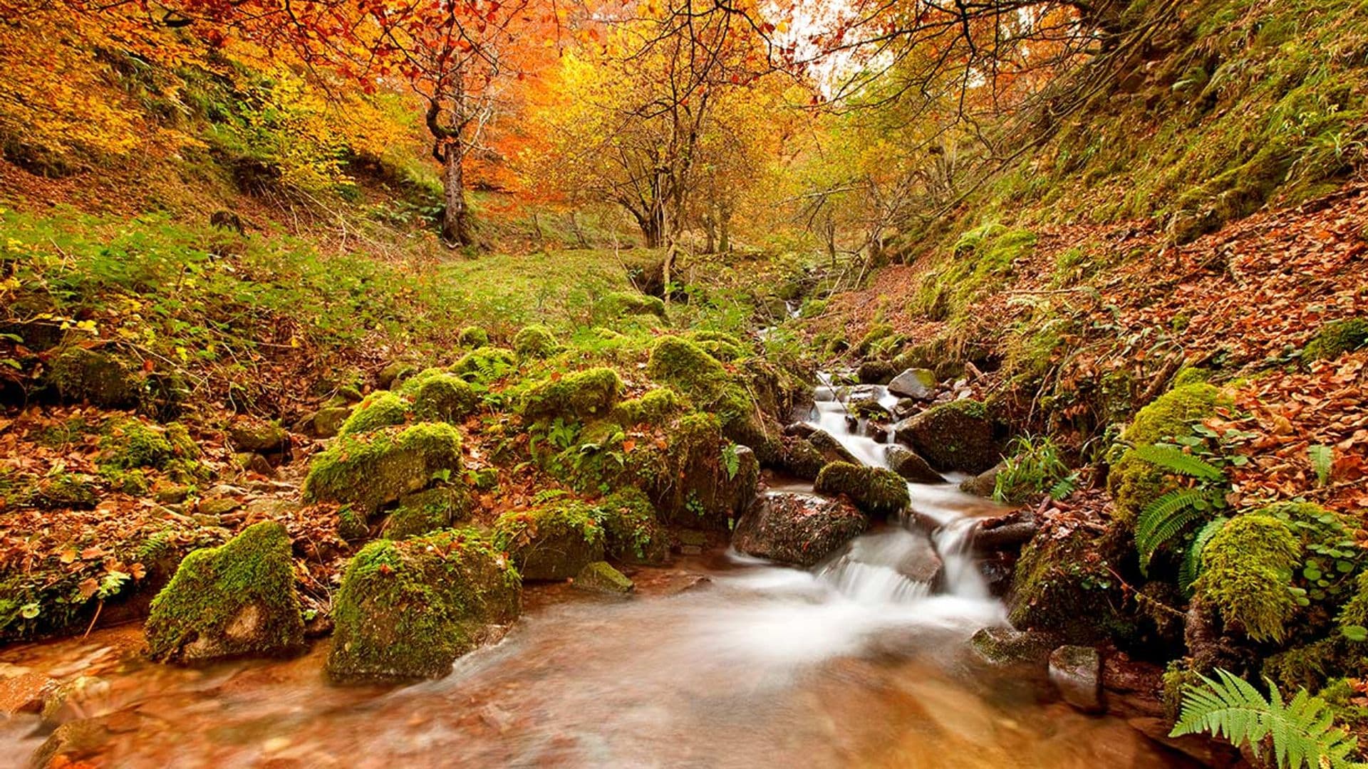 Paisajes de Cantabria para enloquecer este otoño