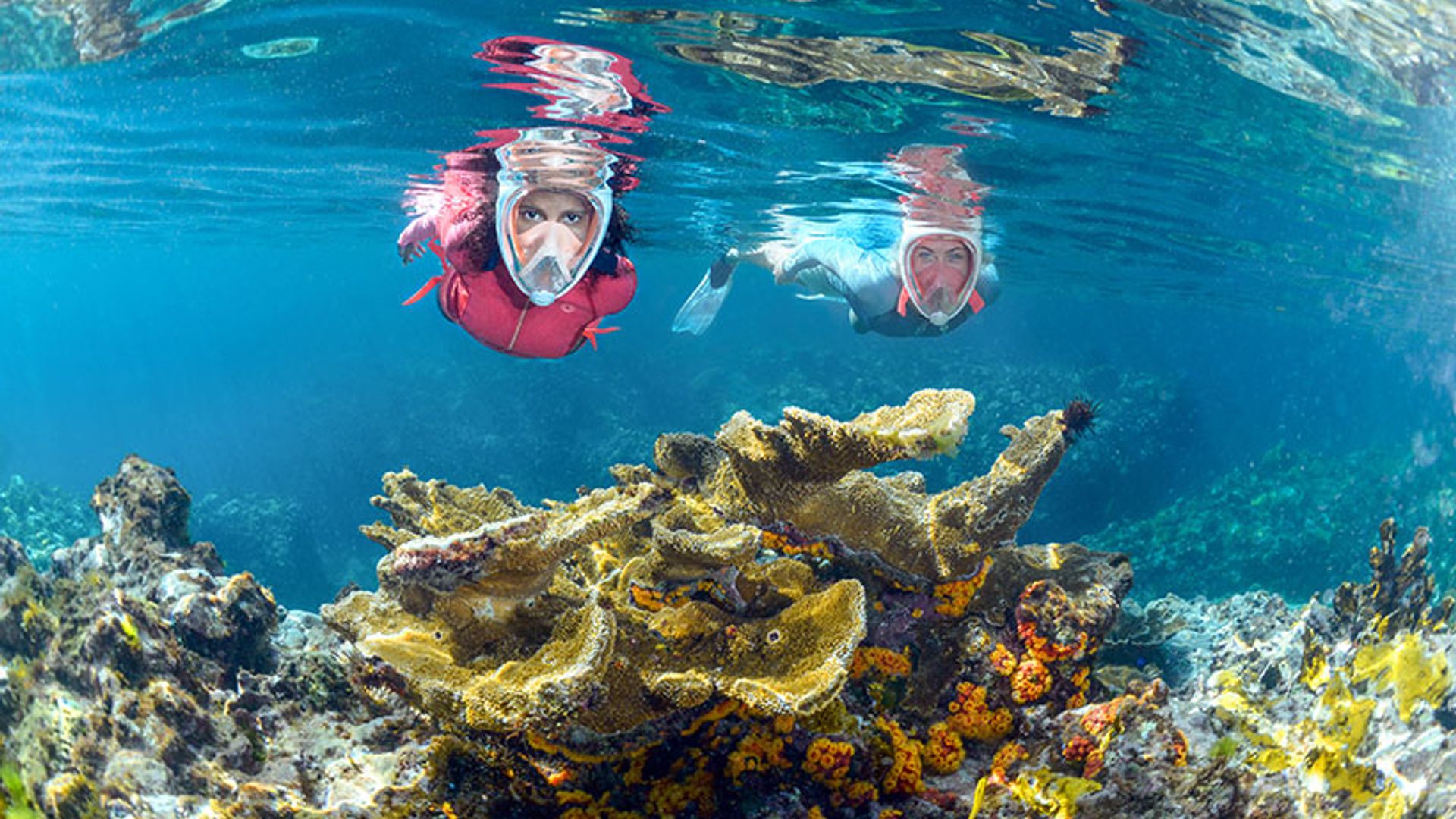 ¿Sabías que solo conocemos un 5% de todo lo que esconde el mar?