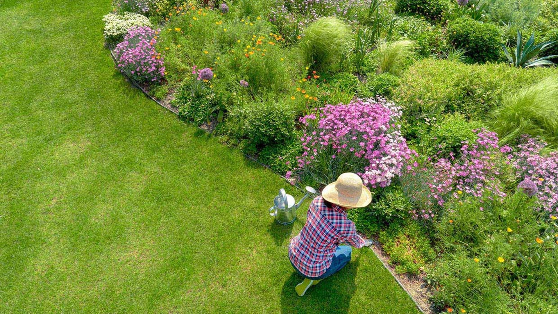 Todos los cuidados que debes darle a tu jardín en primavera