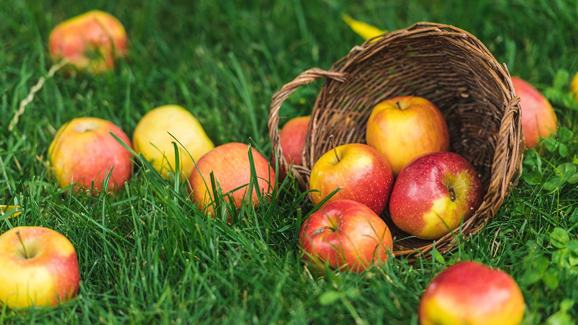 Dos manzanas al día, el mejor tratamiento para mantener a raya el colesterol
