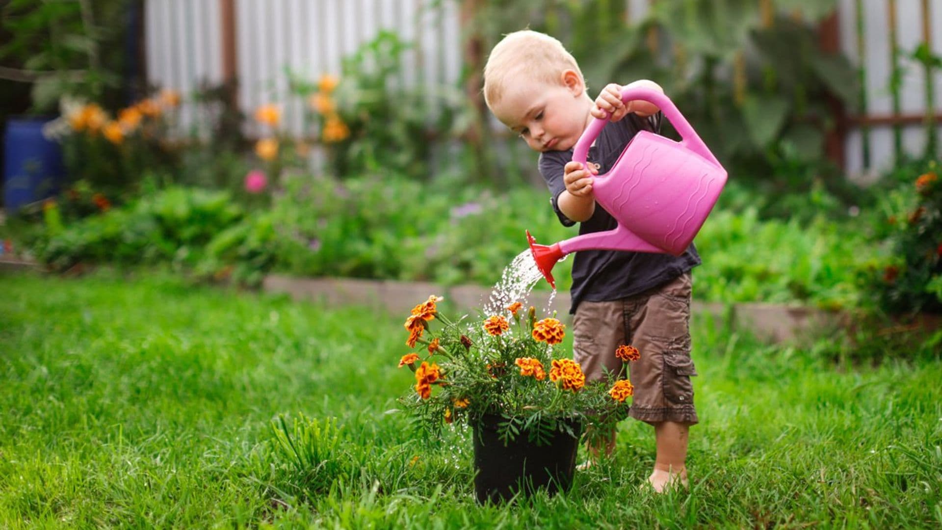 Estas son las mejores plantas para que los niños tengan su propio jardín