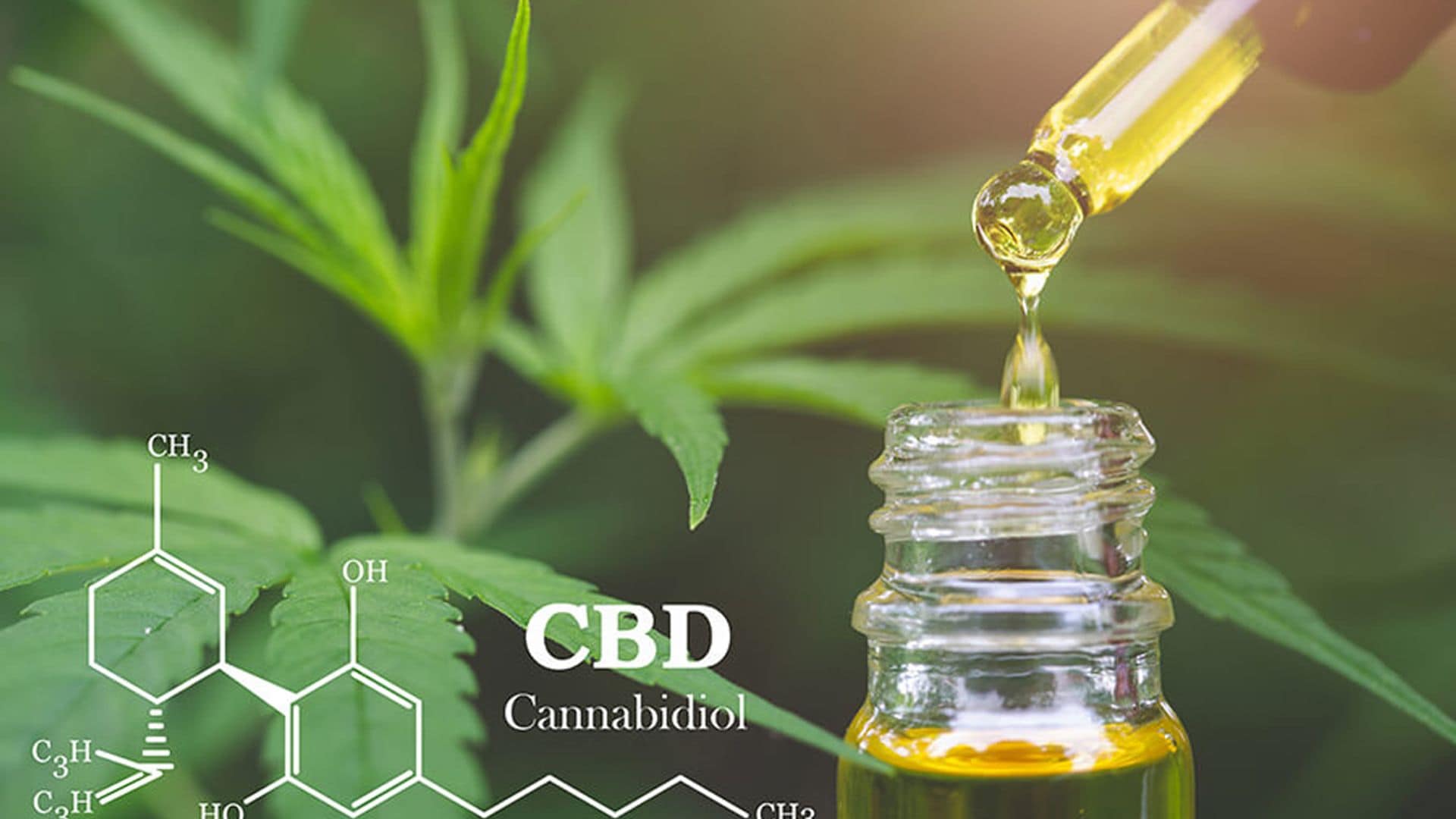 16 preguntas frecuentes sobre el CBD