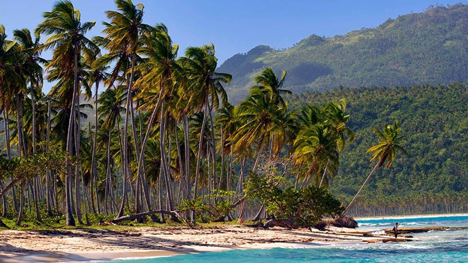 Samaná: playas de postal, cocoteros, sabor caribeño y… ¡ballenas! 