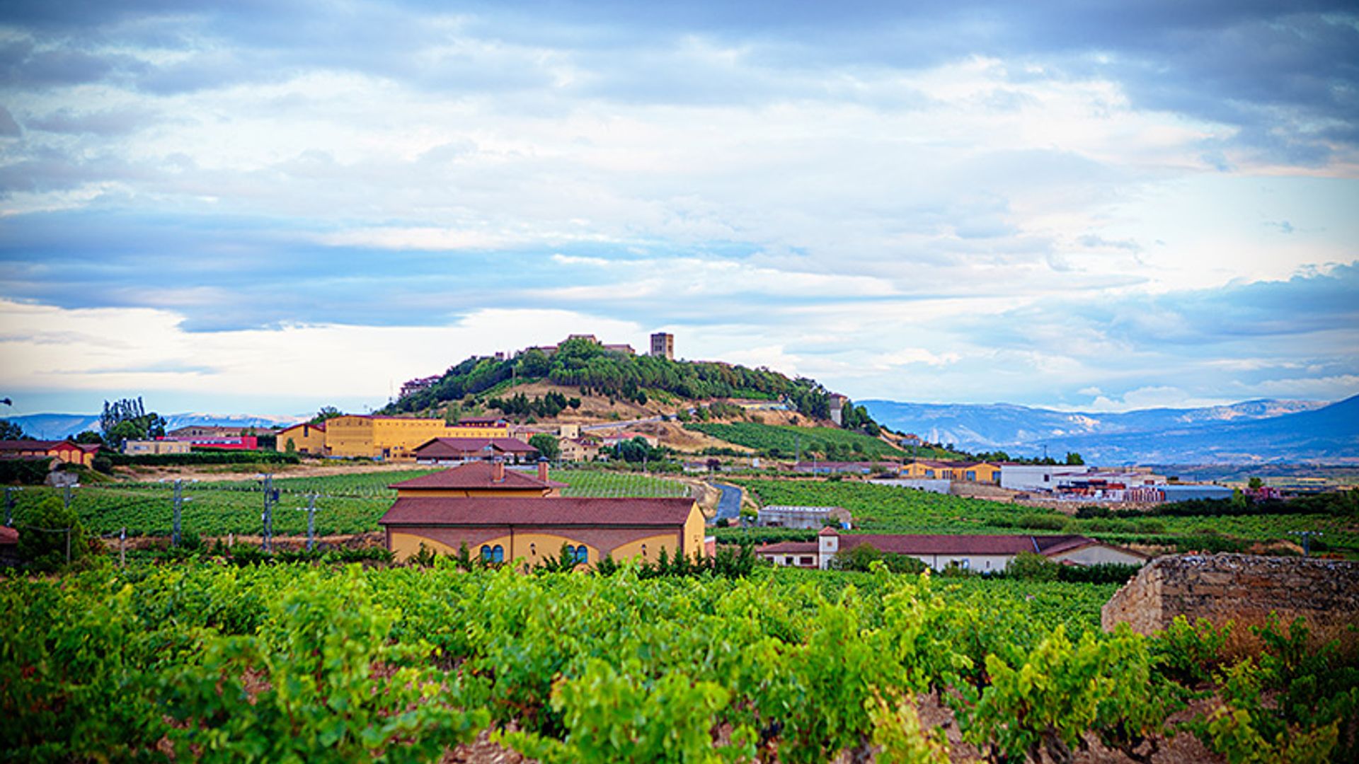 Cinco experiencias que saben a vino para exprimir la Rioja Alavesa