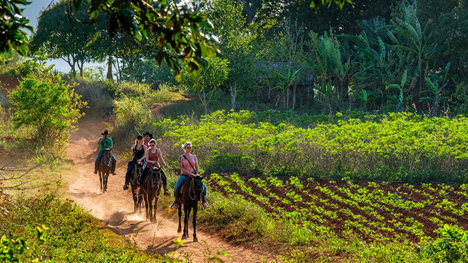 El Valle de Viñales, la riqueza de Cuba más allá de La Habana